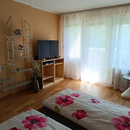 Apartman Offenburg Apartment *