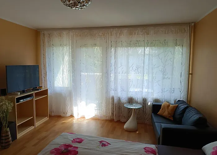 Apartment Offenburg Apartment