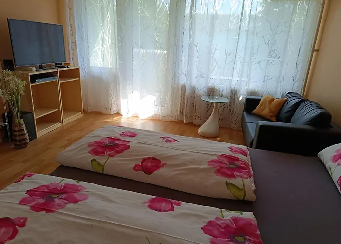 Offenburg Apartment Apartment