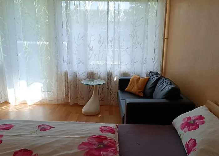 Offenburg Apartment * Offenburg